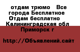 отдам трюмо - Все города Бесплатное » Отдам бесплатно   . Калининградская обл.,Приморск г.